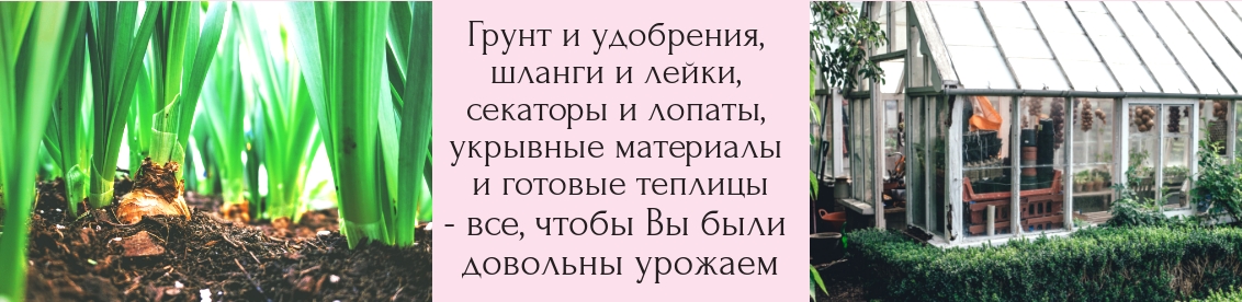 Слайдер 2