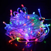 Гирлянда новогодняя 100 LED, 6 м, W-10