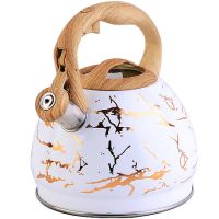 Чайник из нержавеющей стали 3,0 л