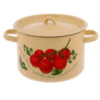 Кастрюля эмалированная 4,5 л, с крышкой, с рисунком, 1с17с (Фото 3)